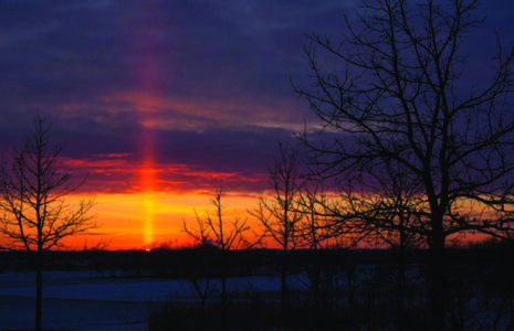 Brilliant sunset with a sun pillar and silhouetted oak trees.
